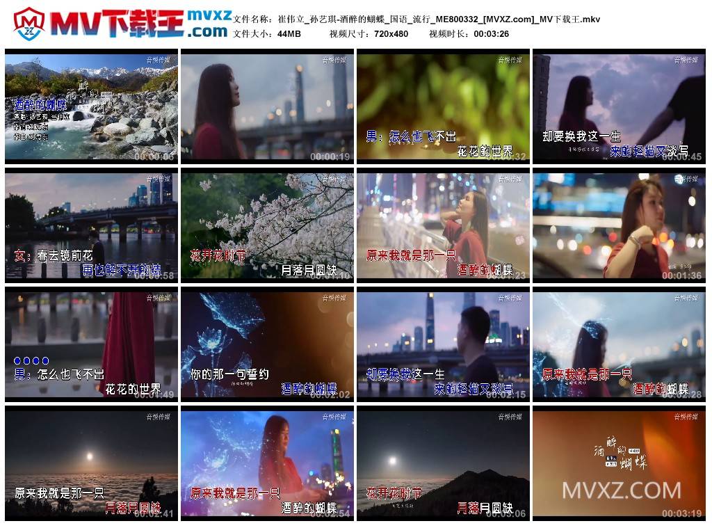 崔伟立_孙艺琪-酒醉的蝴蝶_国语_流行_ME800332